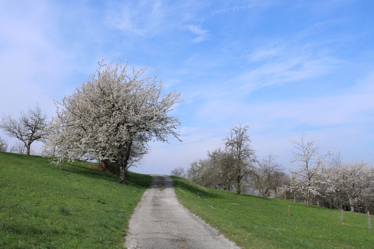 Frühling