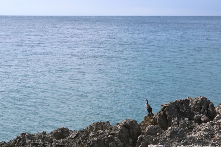 Kroatien