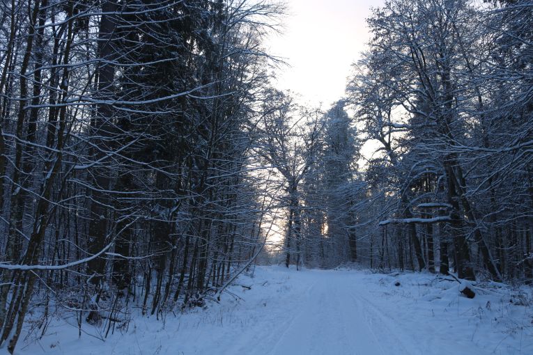 Winterwanderung