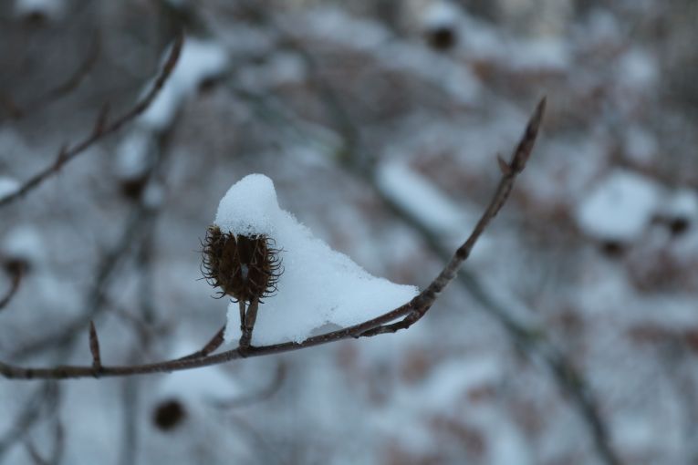 Winterwanderung