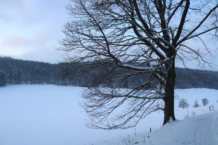 Winterwanderung